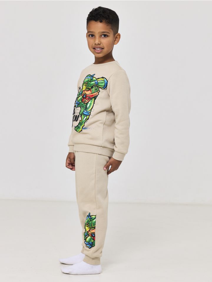 סט פוטר צבי הנינג’ה