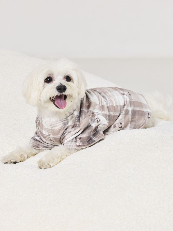 טופ קטיפתי לכלב MICKEY