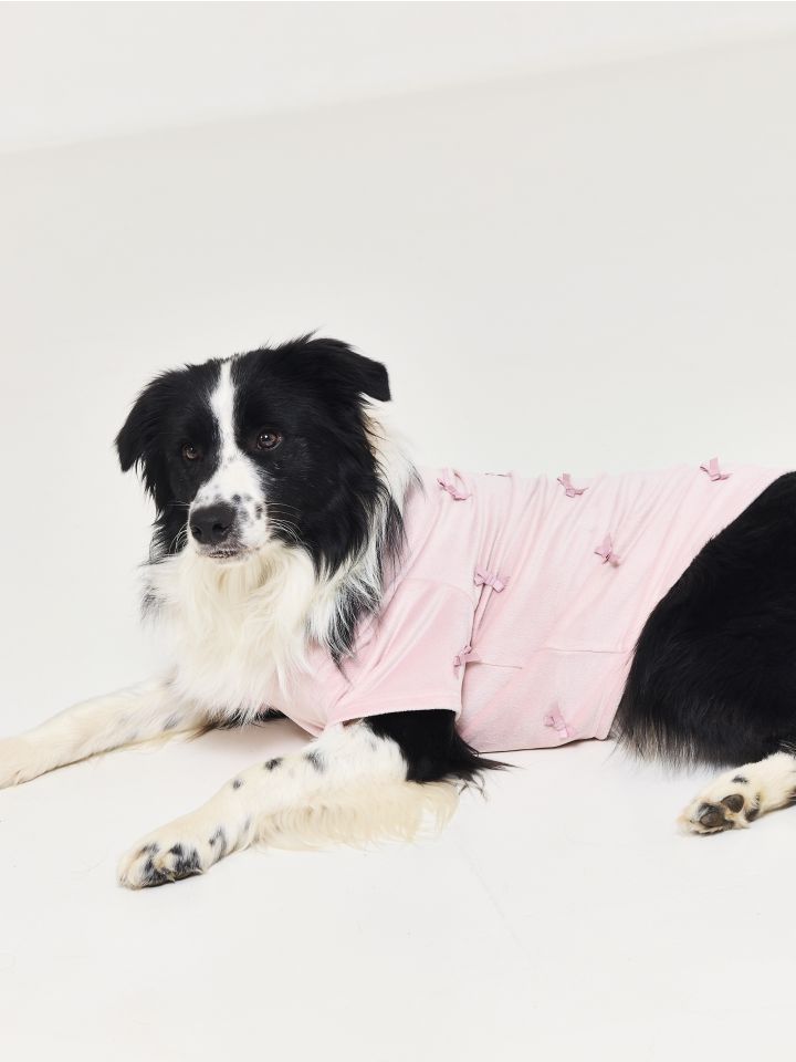 טופ קטיפתי לכלב BOWS