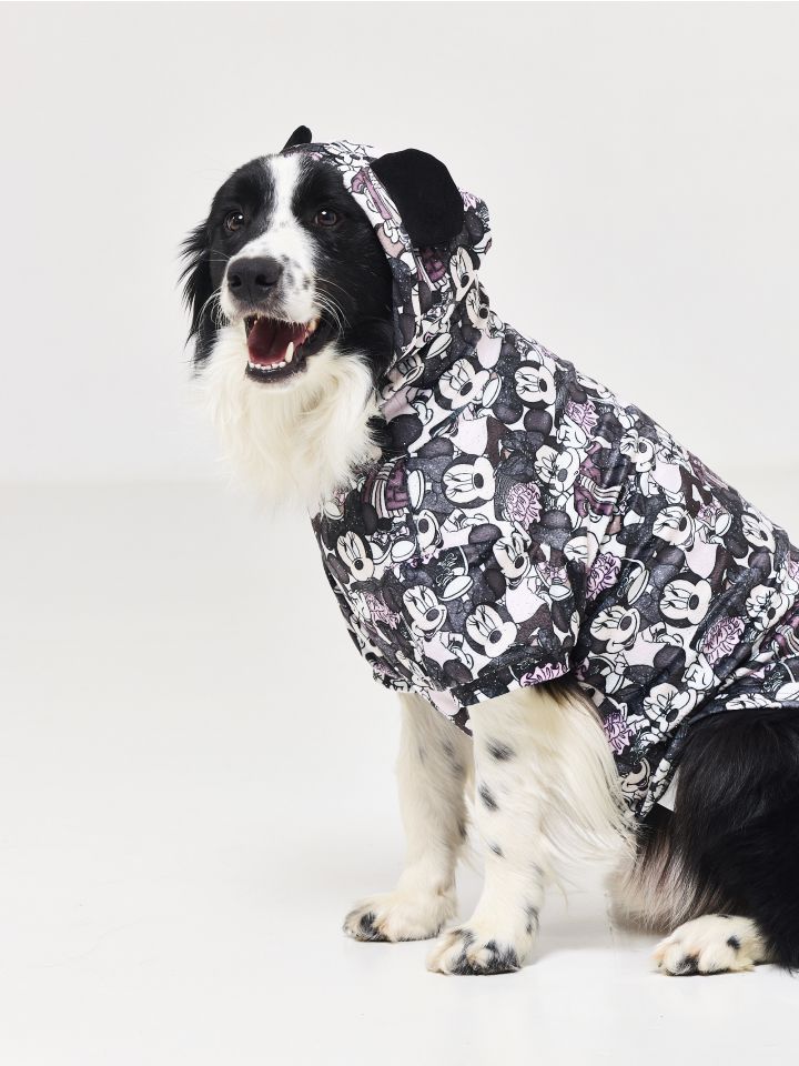 טופ עם קפוצ’ון לכלב MINNIE