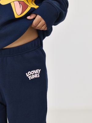 סט פוטר LOONY TUNES
