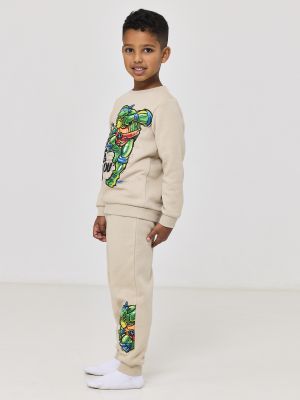 סט פוטר צבי הנינג’ה