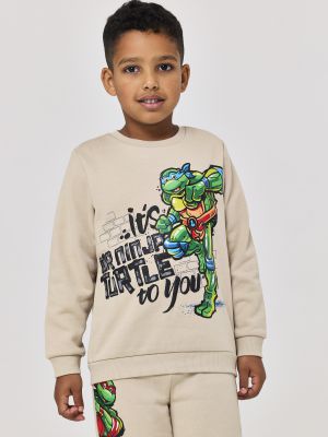 סט פוטר צבי הנינג’ה