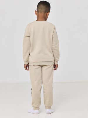 סט פוטר צבי הנינג’ה