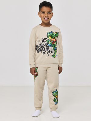 סט פוטר צבי הנינג’ה