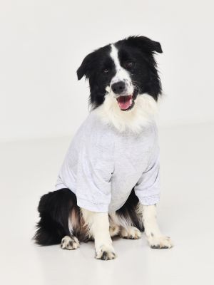 טופ עם קפוצ’ון לכלבה עם כיתוב אישי DAISY