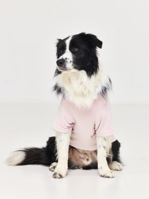 טופ קטיפתי לכלב BOWS