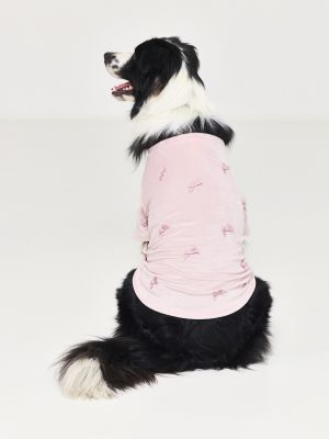 טופ קטיפתי לכלב BOWS