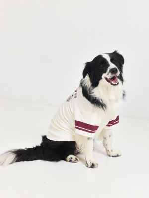 טופ לכלב PLUTO