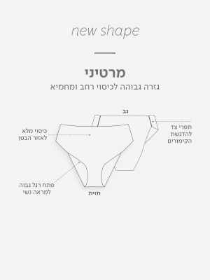 מארז 4 תחתוני מרטיני SEAMLESS