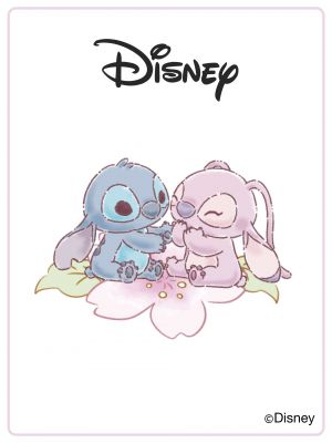 Stitch Moments