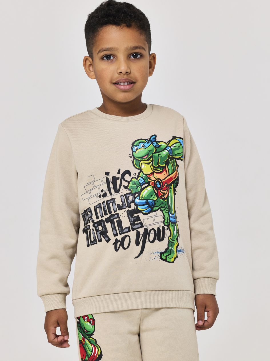 סט פוטר צבי הנינג’ה