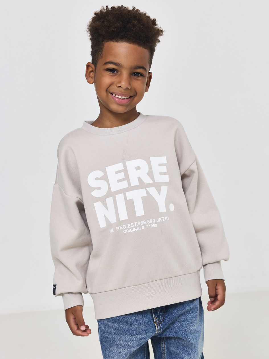 סווטשירט פוטר