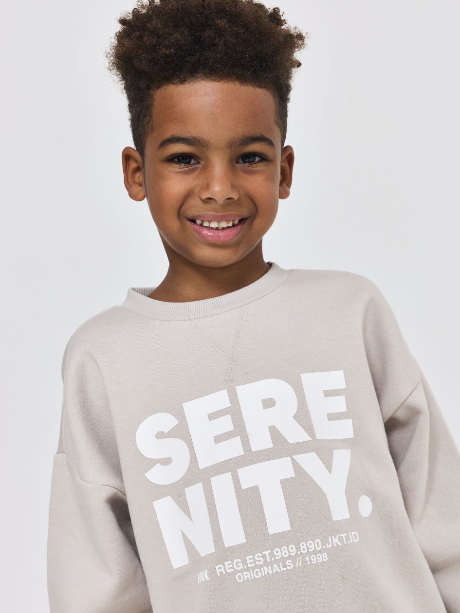 סווטשירט פוטר