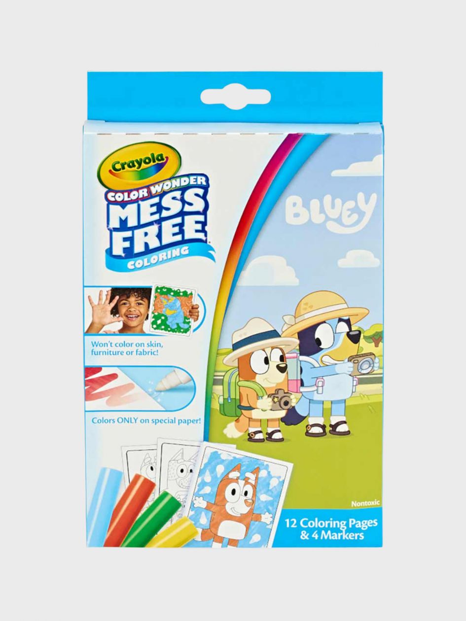מארז צביעה BLUEY