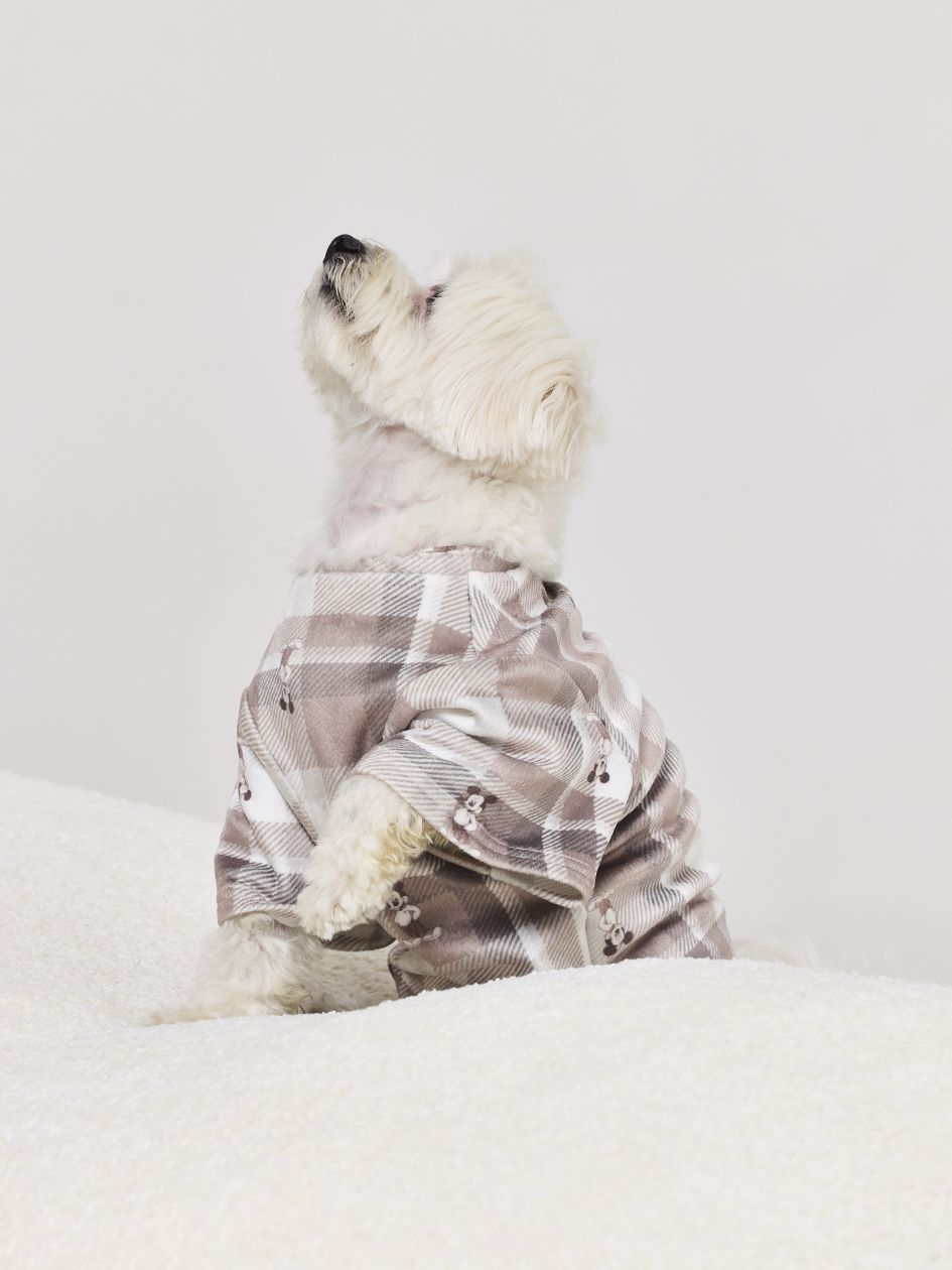 טופ קטיפתי לכלב MICKEY