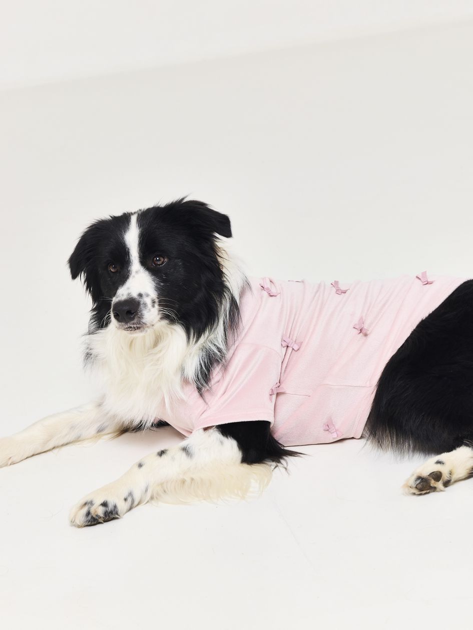 טופ קטיפתי לכלב BOWS