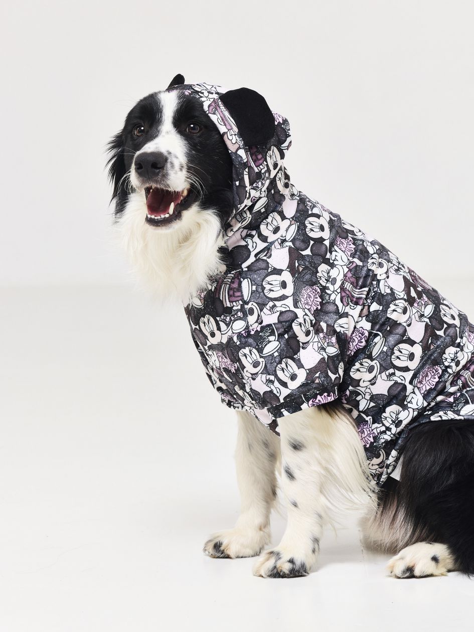 טופ עם קפוצ’ון לכלב MINNIE