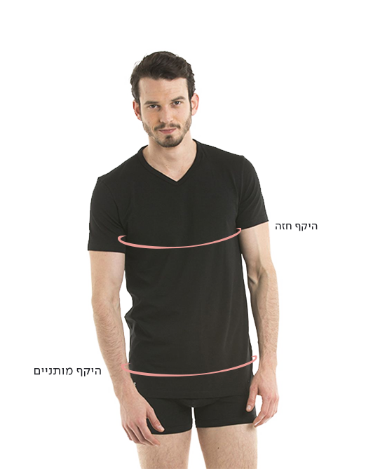 טבלת מידות - LACOSTE - תמונה מספר 1