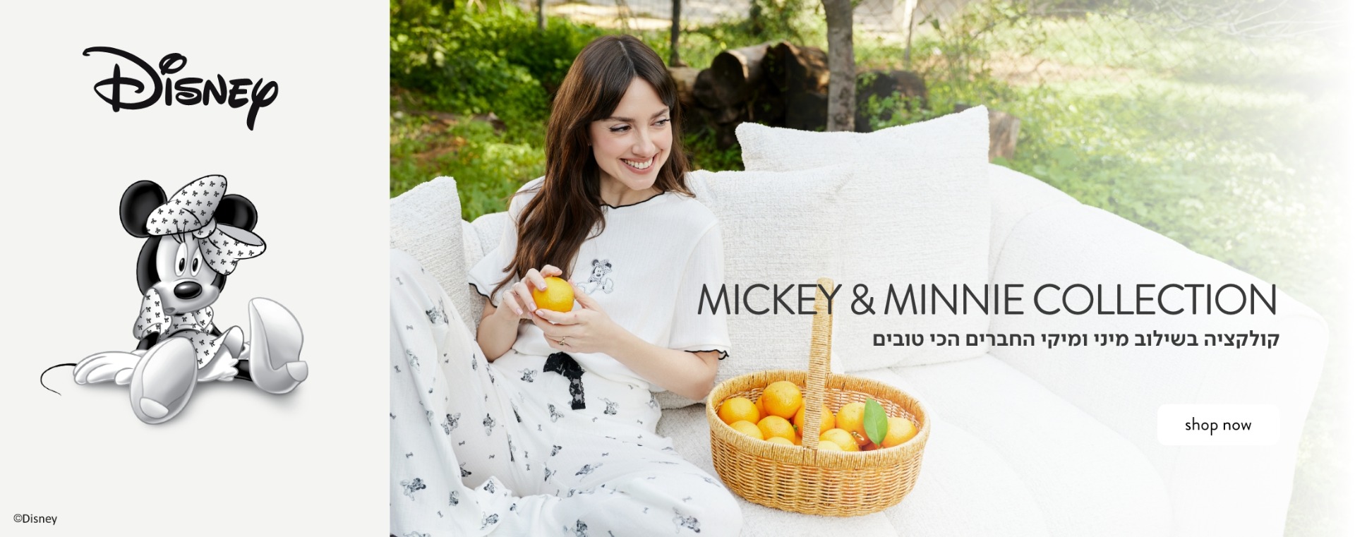 קולקציית מיקי ומיני החברים הכי טובים