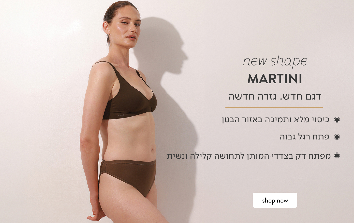 גזרה חדשה של תחתוני מרטיני, גזרה גבוהה לכיסוי רחב ומחמיא