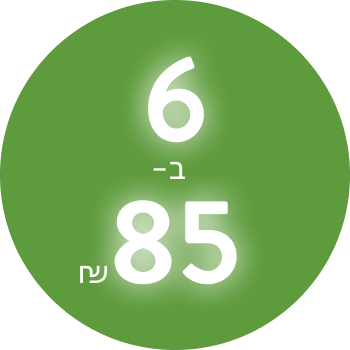 6 ב-85₪