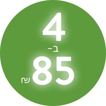 חולצות בית ספר לנערים ולנערות 4 ב-85₪
