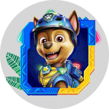 PAW PATROL