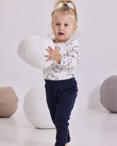 מארזי בייסיק